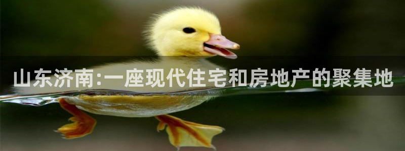 新宝5注册：山东济南:一座现代住宅和房地产的聚集地