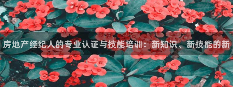 新宝5授权：房地产经纪人的专业认证与技能培训：新知识、新技能