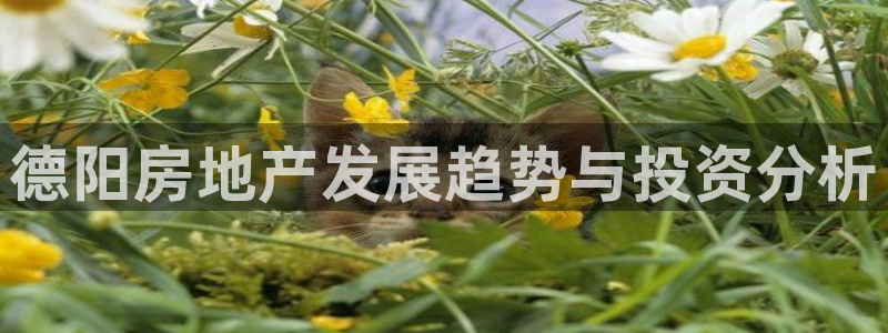新宝5巅峰：德阳房地产发展趋势与投资分析