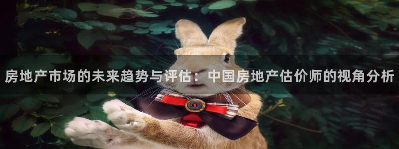 新宝5球维33 300：房地产市场的未来趋势与评估：中国房地