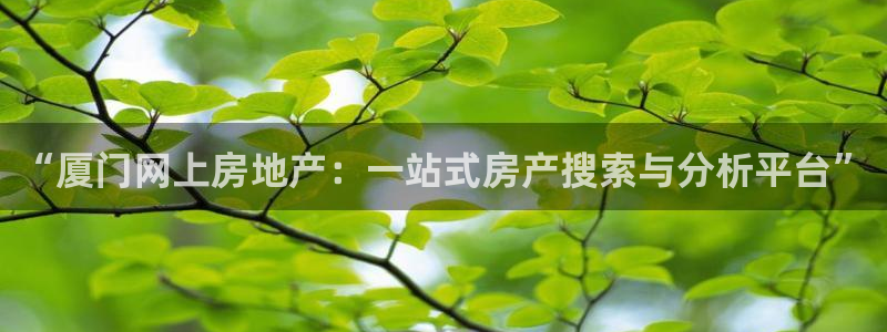 新宝5主管：“厦门网上房地产：一站式房产搜索与分析平台”