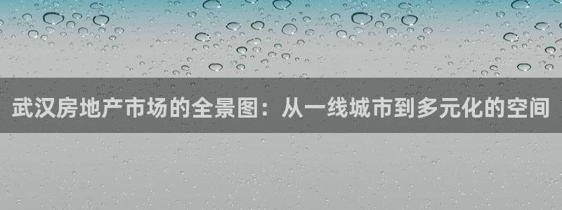 新宝5是谁的：武汉房地产市场的全景图：从一线城市到多元化的空