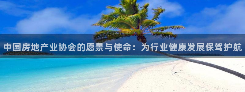 新宝5下载app：中国房地产业协会的愿景与使命：为行业健康发