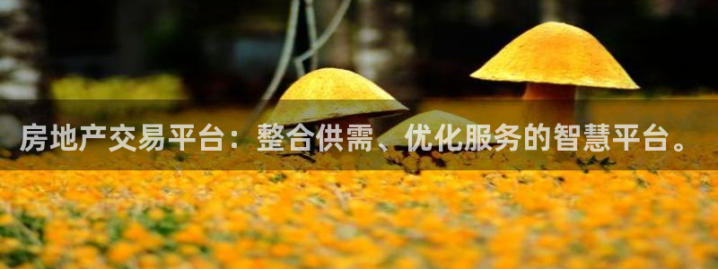 新宝5官方下载地址