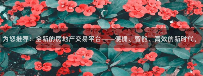 新宝5软件下载：为您推荐：全新的房地产交易平台——便捷、智能