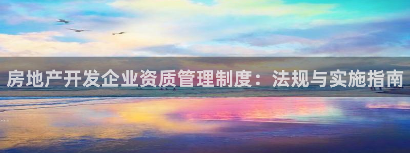 新宝5电脑：房地产开发企业资质管理制度：法规与实施指南