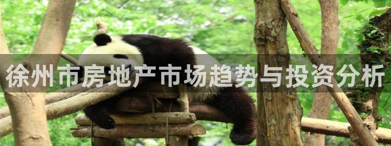 新宝cR一5：徐州市房地产市场趋势与投资分析