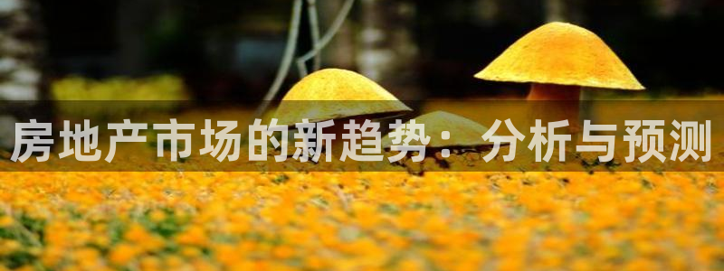 新宝5测速在线：房地产市场的新趋势：分析与预测
