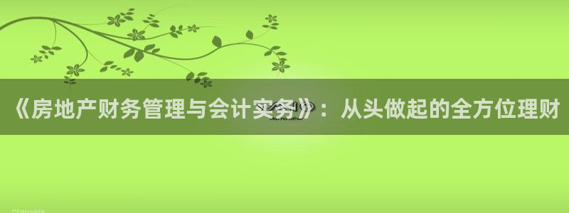 新5宝：《房地产财务管理与会计实务》：从头做起的全方位理财
