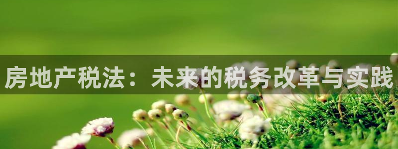 新宝5注册平台：房地产税法：未来的税务改革与实践