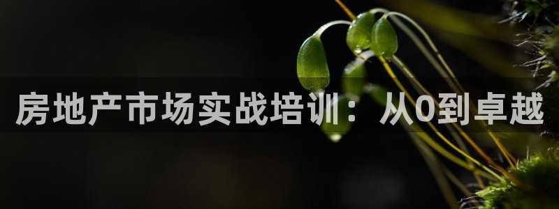 新宝5下载网址