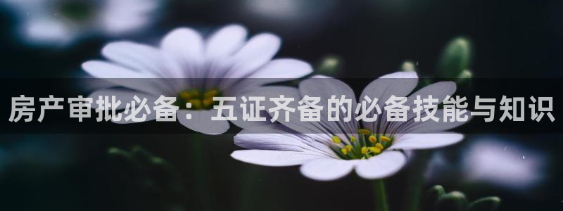 新宝5得74OOO5：房产审批必备：五证齐备的必备技能与知识