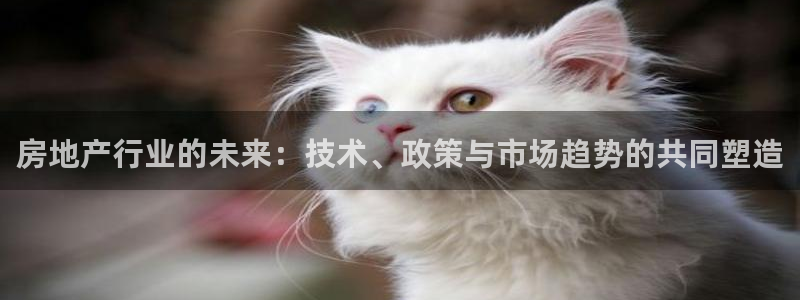 5新宝：房地产行业的未来：技术、政策与市场趋势的共同塑造