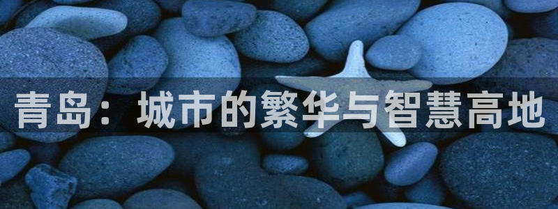 新宝5地址：青岛：城市的繁华与智慧高地