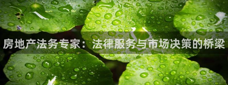 新宝5注册链接：房地产法务专家：法律服务与市场决策的桥梁