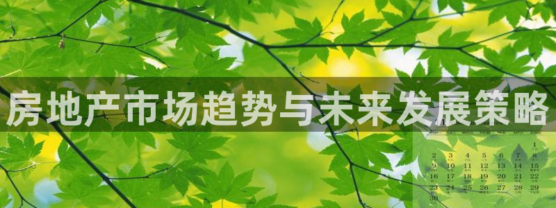 新宝5挂机：房地产市场趋势与未来发展策略