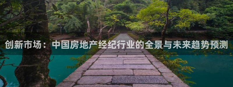 新宝5官网67五壹叁八：创新市场：中国房地产经纪行业的全景与