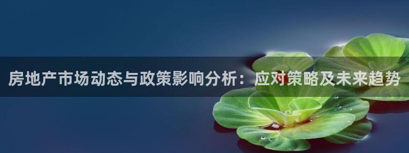新宝5导师：房地产市场动态与政策影响分析：应对策略及未来趋势