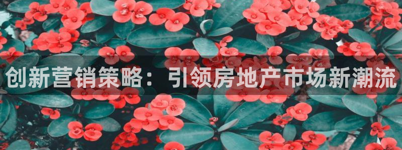 新宝5秒开：创新营销策略：引领房地产市场新潮流