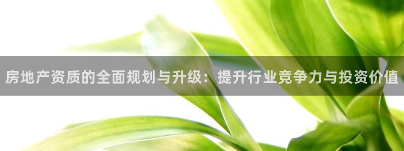 新宝5平棋牌：房地产资质的全面规划与升级：提升行业竞争力与投