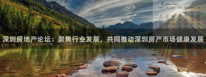 新宝5X：深圳房地产论坛：聚焦行业发展，共同推动深圳房产市场