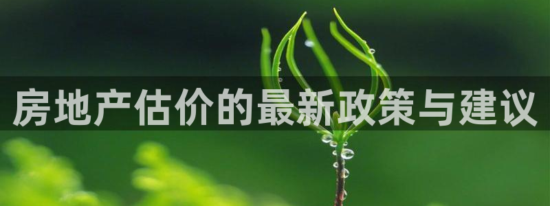 新宝5怎么下载到桌面：房地产估价的最新政策与建议