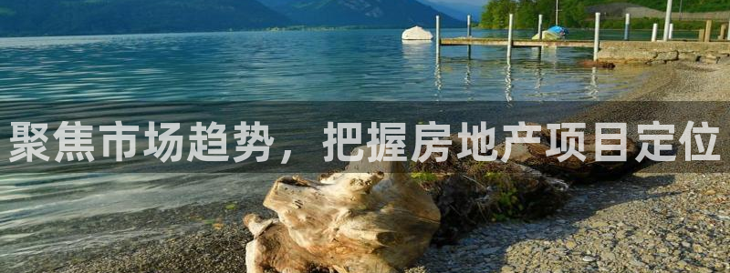 新宝h2O5O5O：聚焦市场趋势，把握房地产项目定位