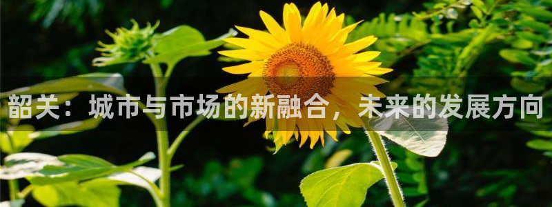 新宝5官网app：韶关：城市与市场的新融合，未来的发展方向