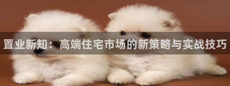 新宝5月：置业新知：高端住宅市场的新策略与实战技巧