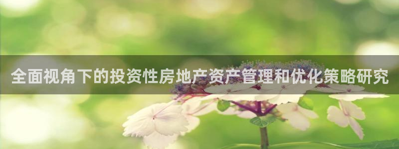 新宝5苹果手机下载：全面视角下的投资性房地产资产管理和优化策