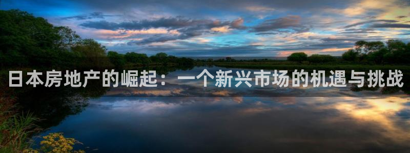 新宝j2O5O5O：日本房地产的崛起：一个新兴市场的机遇与挑