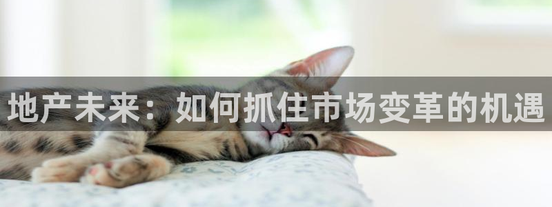 新宝5日谢29999：地产未来：如何抓住市场变革的机遇