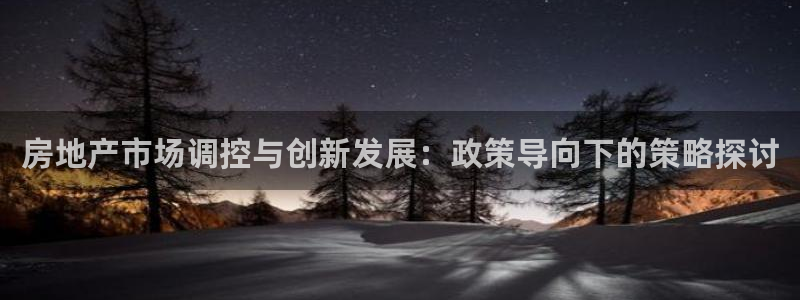 新宝5平台登录：房地产市场调控与创新发展：政策导向下的策略探