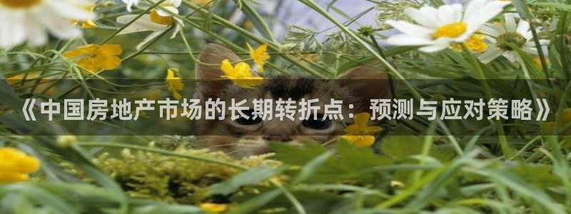 新宝5台卡：《中国房地产市场的长期转折点：预测与应对策略》