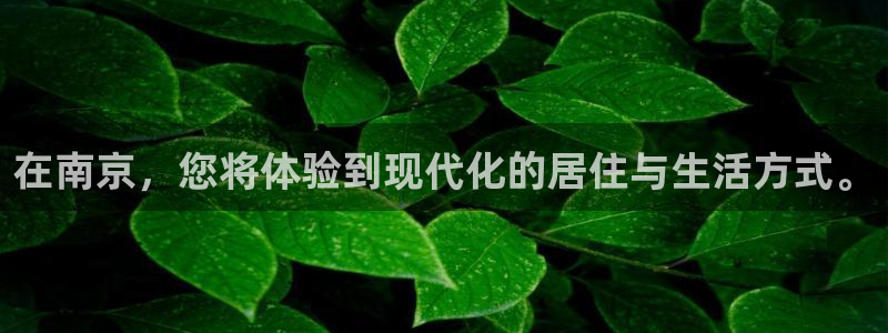 新宝5娱乐方：在南京，您将体验到现代化的居住与生活方式。