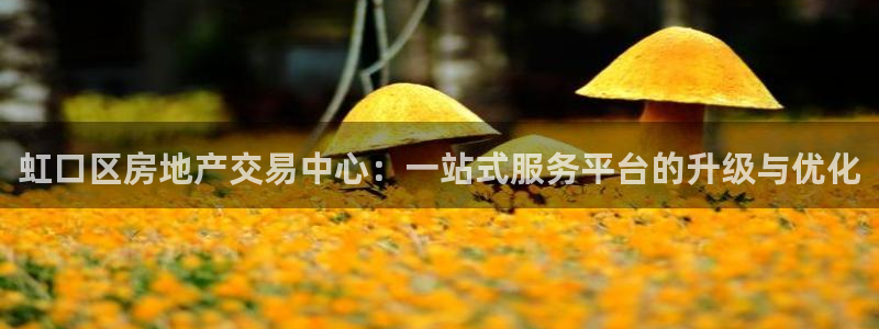 新宝5在哪里：虹口区房地产交易中心：一站式服务平台的升级与优
