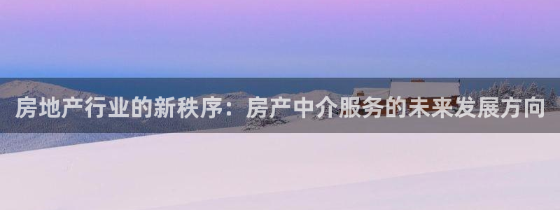 新宝娱乐5入口：房地产行业的新秩序：房产中介服务的未来发展方