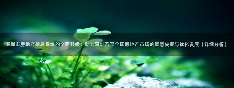菲律宾新宝5老板：深圳市房地产信息系统的全面升级：助力深圳乃