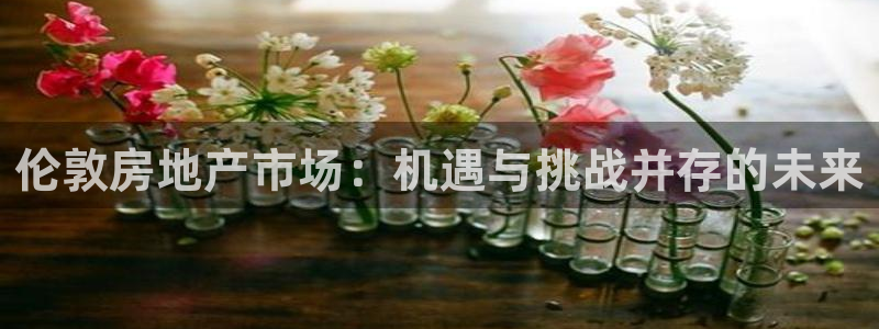 新宝5官方：伦敦房地产市场：机遇与挑战并存的未来