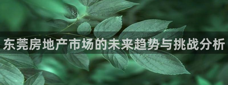 新宝5娱乐同：东莞房地产市场的未来趋势与挑战分析