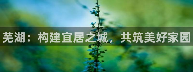 新宝5口67五壹叁八：芜湖：构建宜居之城，共筑美好家园