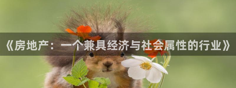 新宝速5：《房地产：一个兼具经济与社会属性的行业》