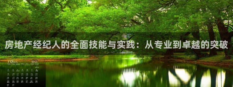 新宝5卫74OOO5：房地产经纪人的全面技能与实践：从专业到
