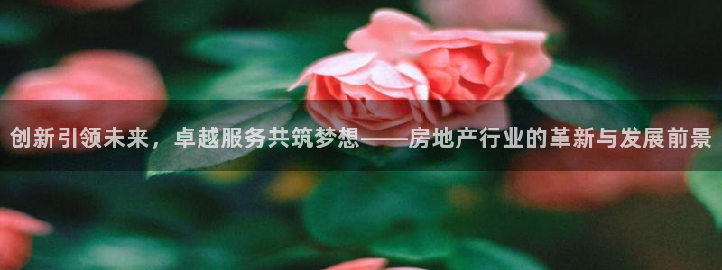 新宝5蒋7O667：创新引领未来，卓越服务共筑梦想——房地产