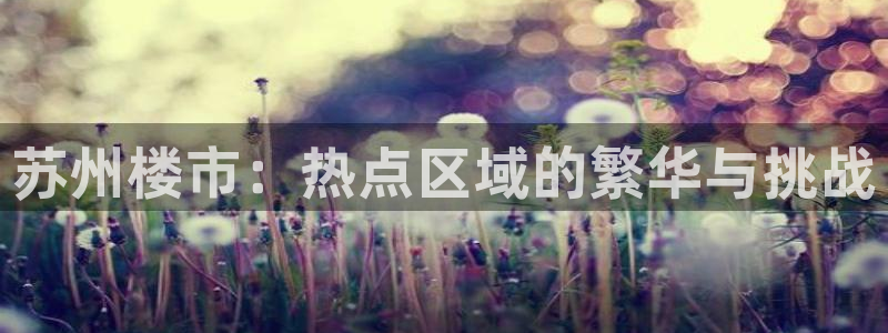 新宝5首页：苏州楼市：热点区域的繁华与挑战