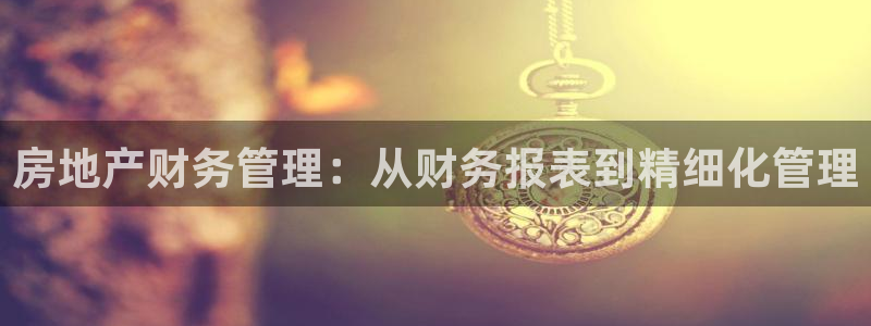 新宝5新宝6顺达：房地产财务管理：从财务报表到精细化管理