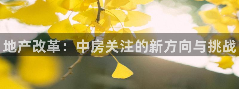 新宝5链接：地产改革：中房关注的新方向与挑战