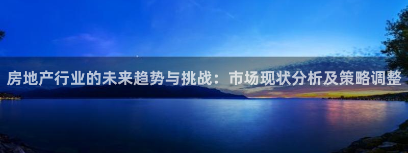 新宝5登陆地址：房地产行业的未来趋势与挑战：市场现状分析及策