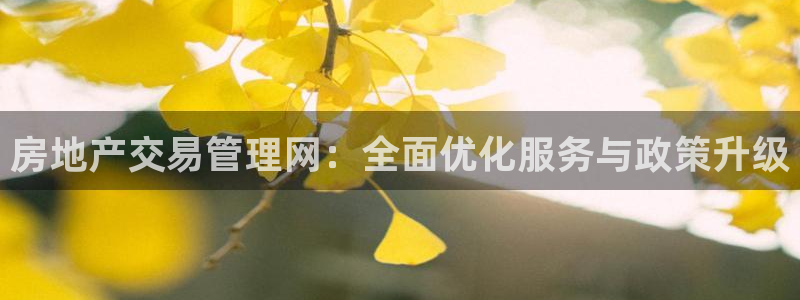 新宝5褚32OO59：房地产交易管理网：全面优化服务与政策升