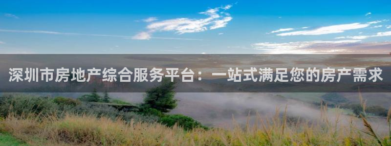 新宝5挂机：深圳市房地产综合服务平台：一站式满足您的房产需求